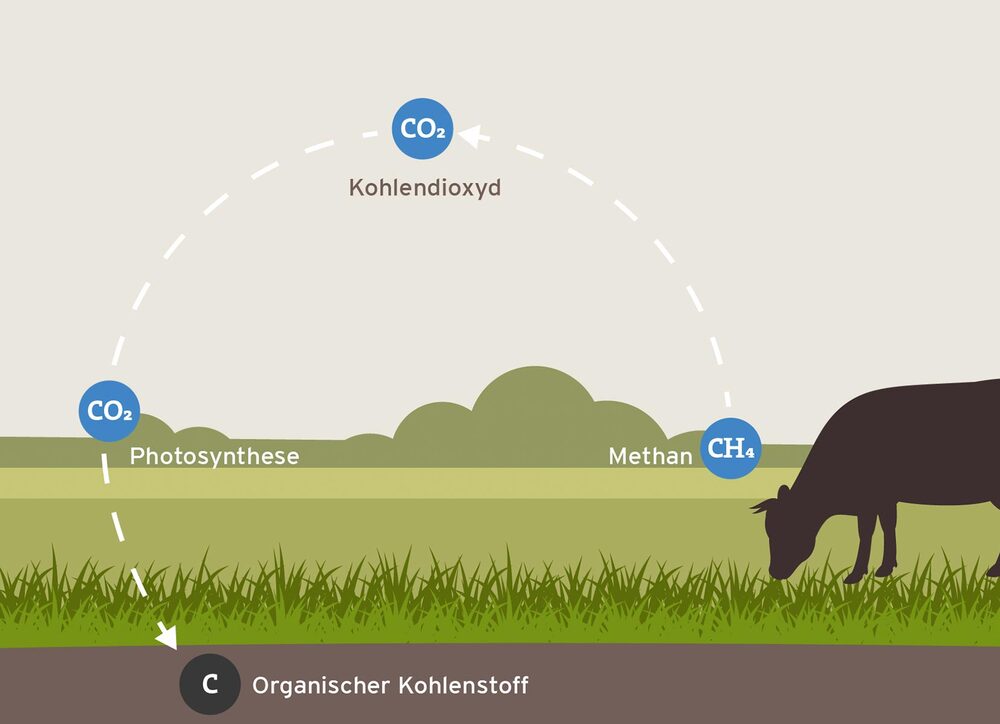 Bildliche Darstellung von Agrarökologischen Prozessen 1