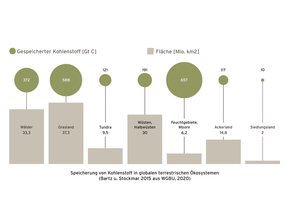 Statistik zur Speicherung von Kohlenstoff in globalen terrestrischen Ökosystemen