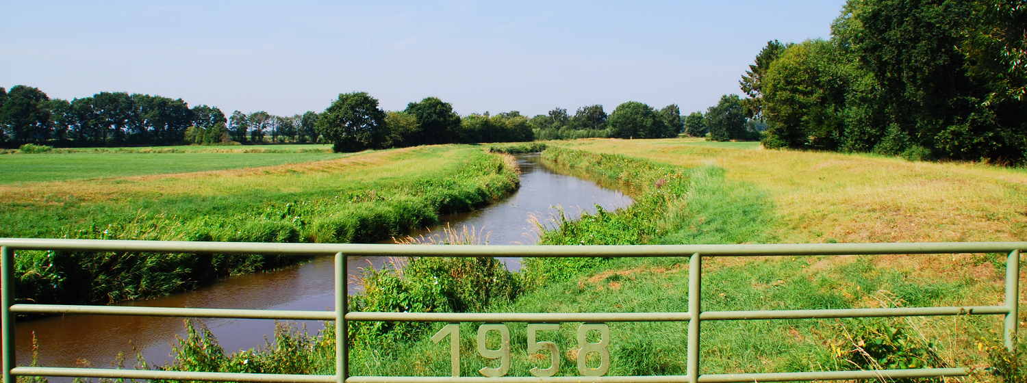 Grüne Landschaft in Harkebrügge