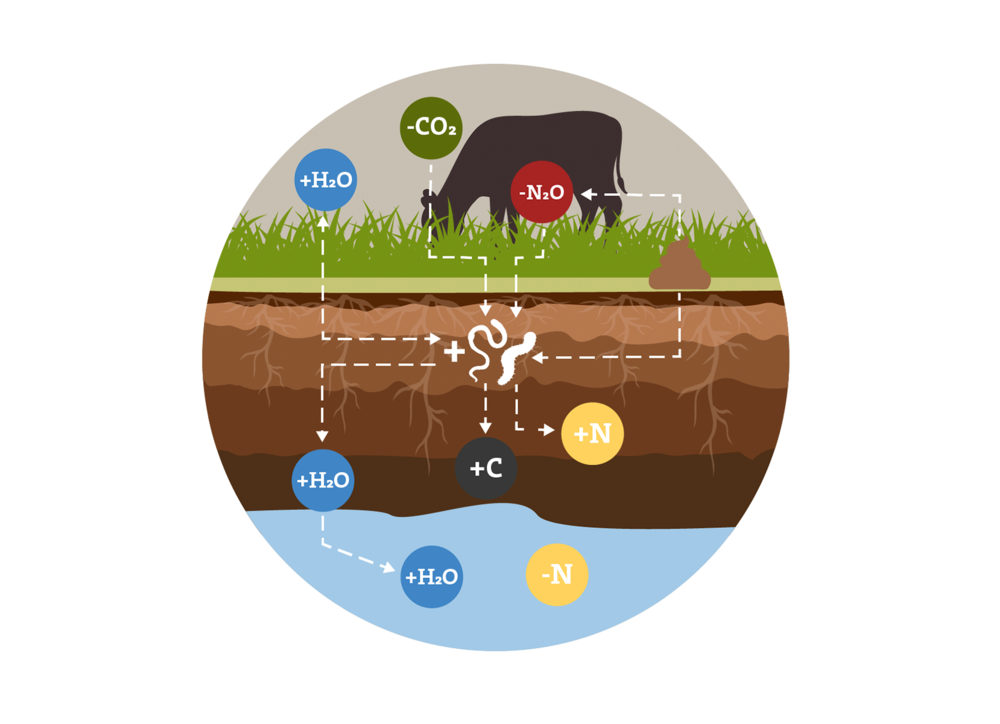 Bildliche Darstellung von Agrarökologischen Prozessen 5