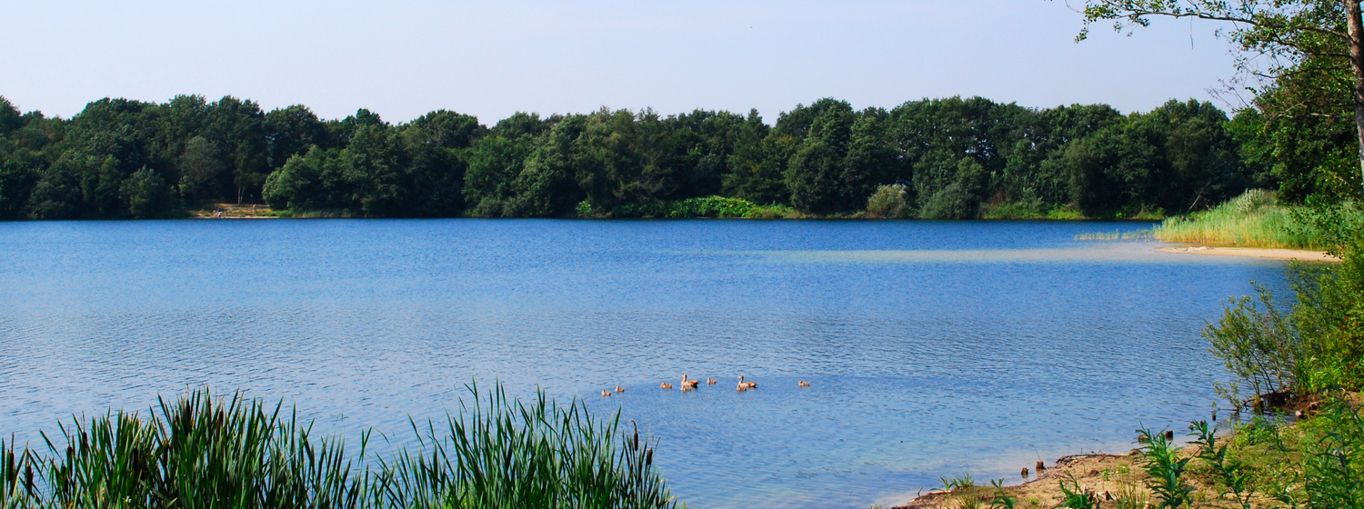 See in Harkebrügge